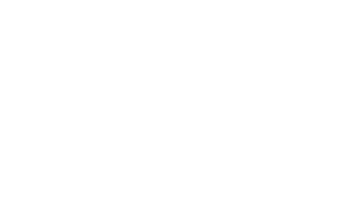 Metropolitan Law Group