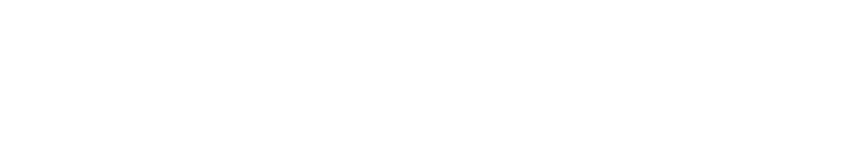 Metropolitan Law Group